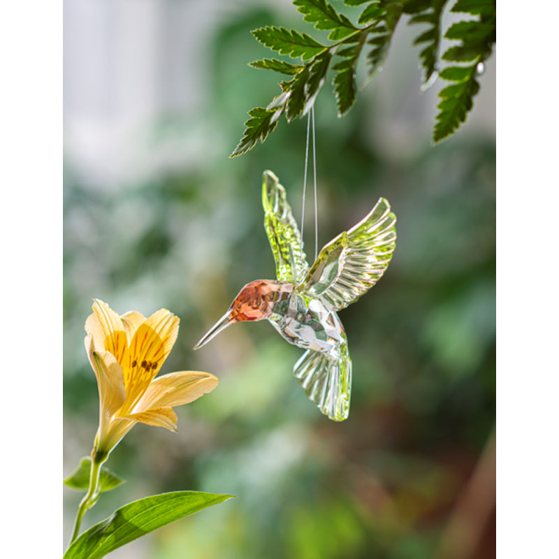Hummingbird Ornament, Acrylic
