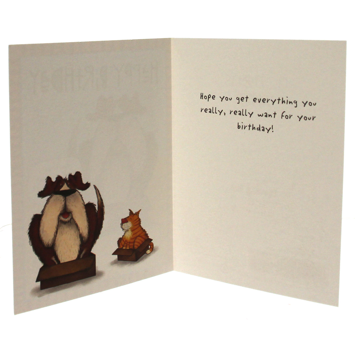 Birthday Card Notions: Happy Birthday, Don't you love...