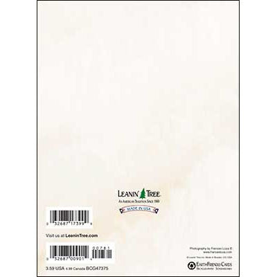 New Baby Card : so little, so sweet,
