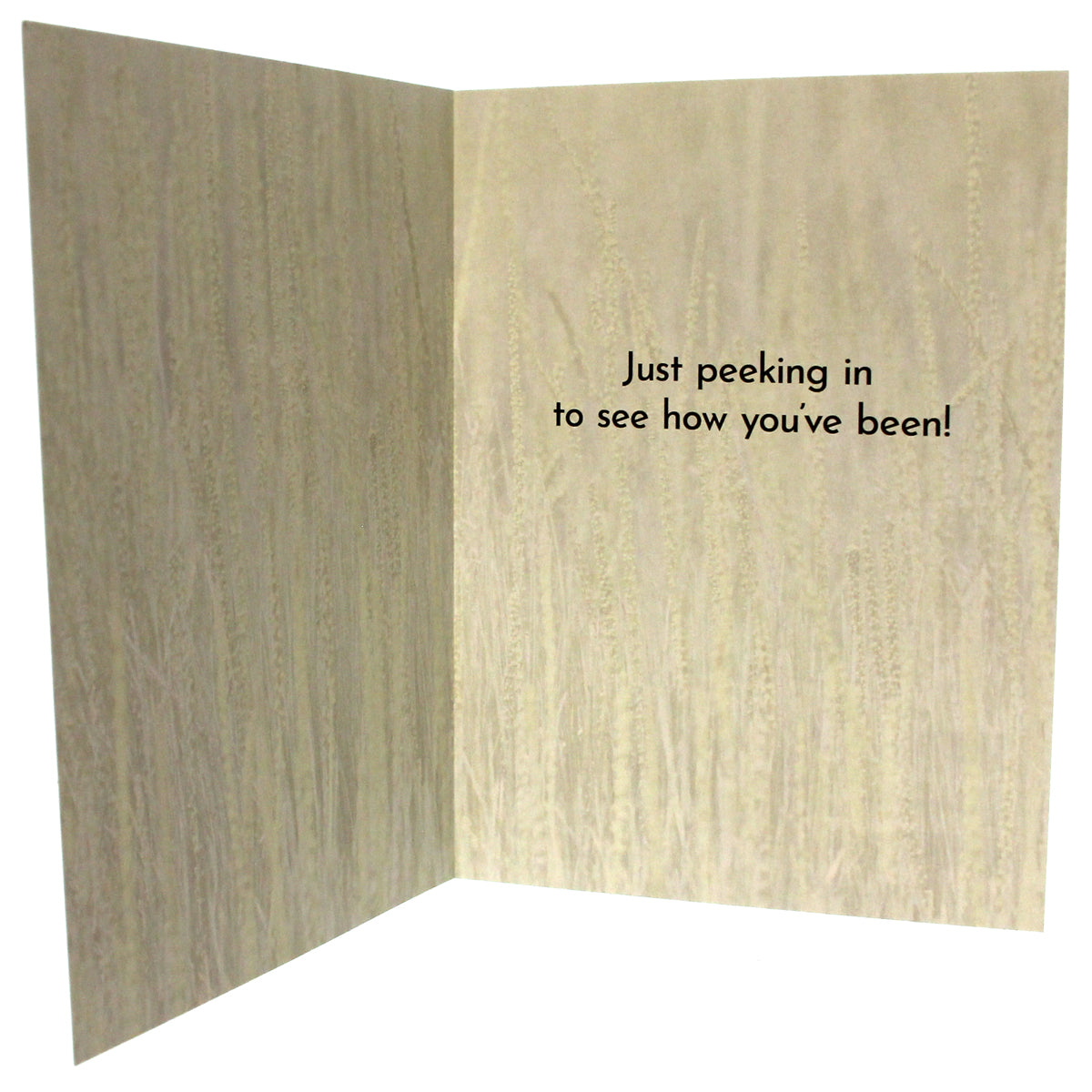 Friendship Card: (image of a bear)
