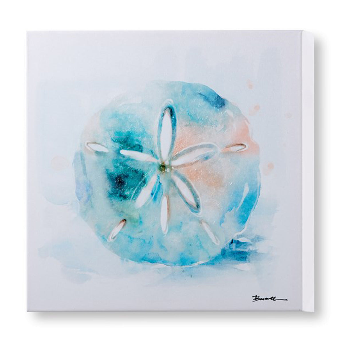 Sand Dollar/Seahorse Canvas Wall Print