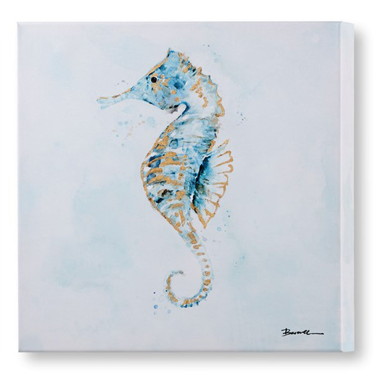Sand Dollar/Seahorse Canvas Wall Print