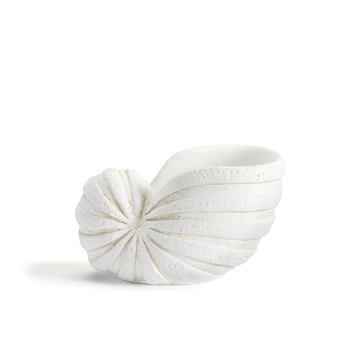 Shell Table Décor, 2 sizes