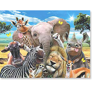 Birthday Card: Let the wild
