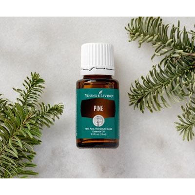 Pine Essential Oil 15ml