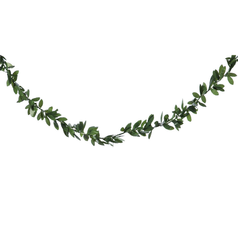 Green Leaf Rattan String Light w/ 50 LED lights & Timer Function, 16"