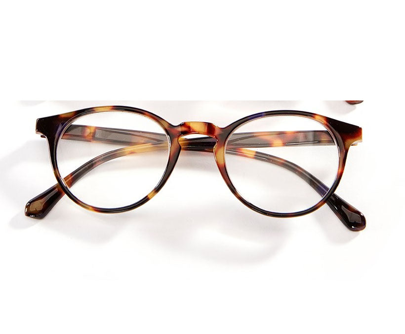 Reading Glasses w/Pouch