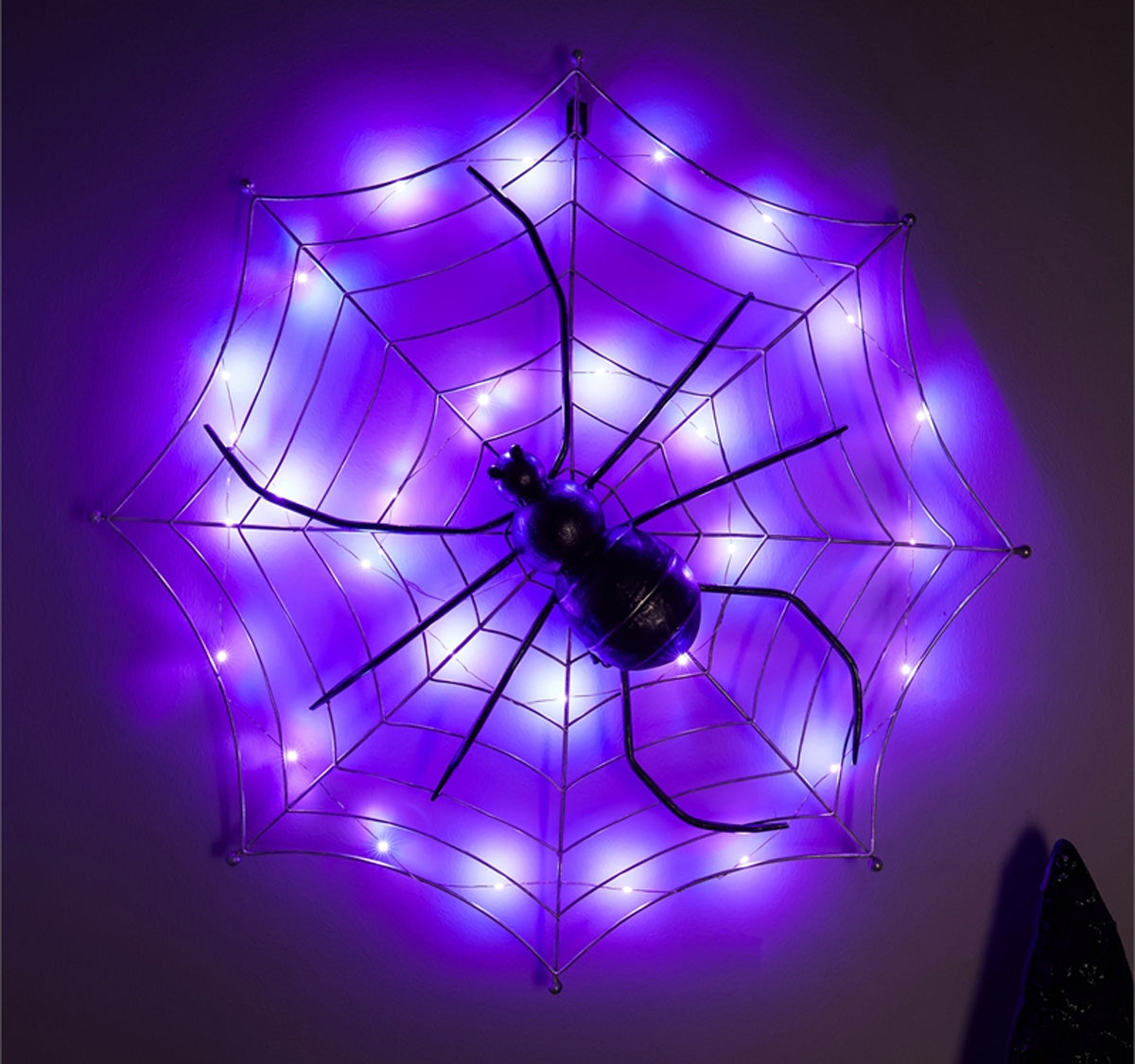 Spider w/ Web(LED)