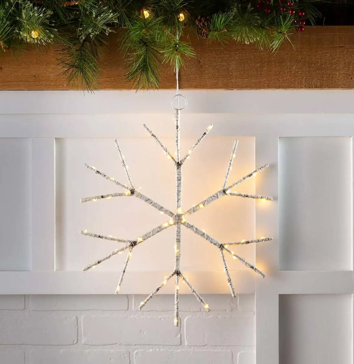 Lighted Birch Branch Snowflake Hanging Accent