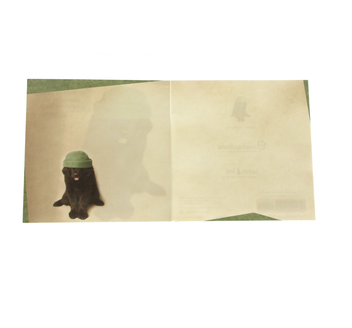 Friendship Card Qubes: "He deserves paradise... (image of Dog with hat)