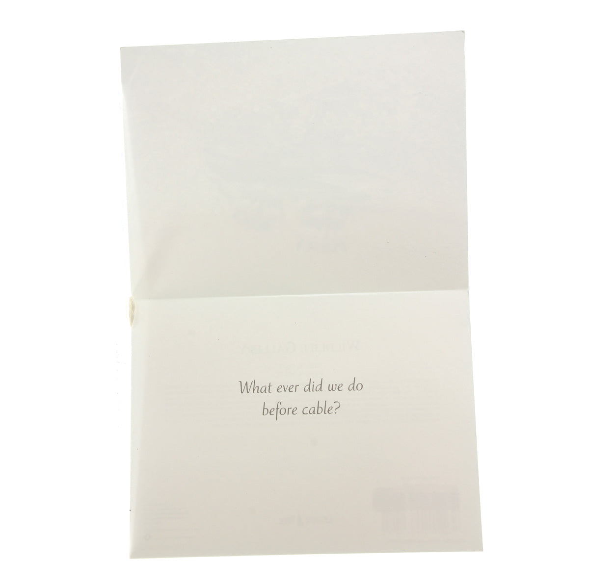 Any Occasion Card: (image of raccoons)