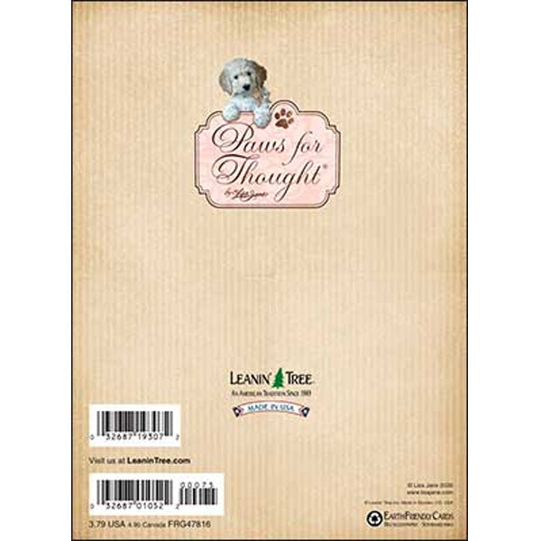 Any Occasion Card: a little sunshine