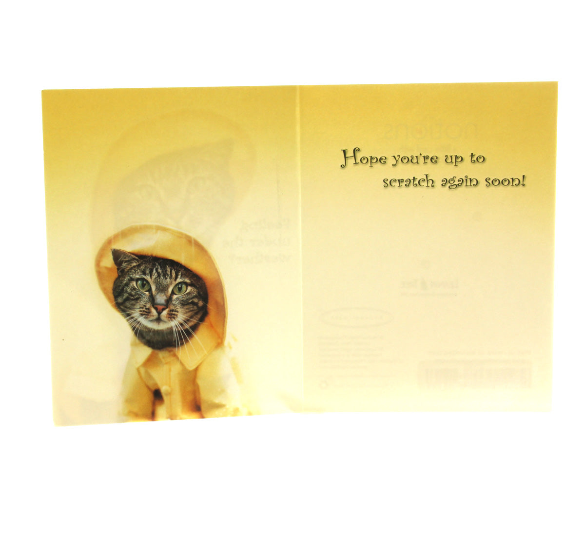 Notions Get Well Card: Feeling under the weather?