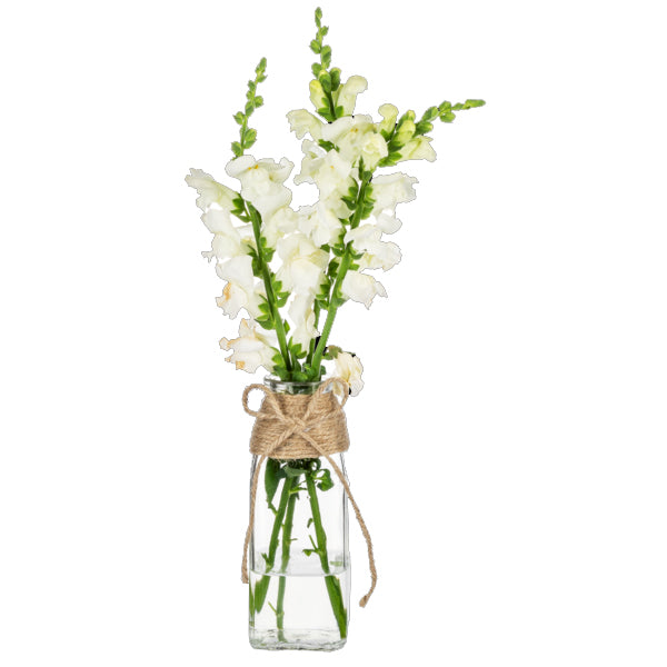 Jute Wrapped Bud Vase Set