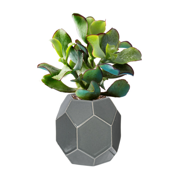 Honeycomb Vases set of 3