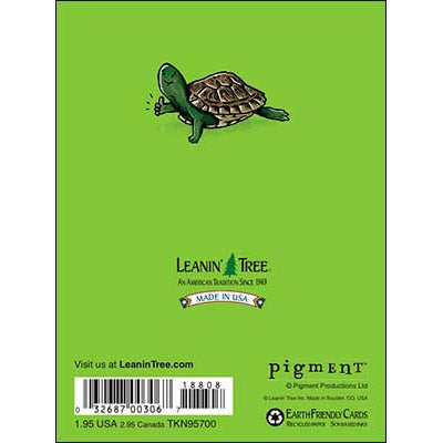 Thank You Card: Hey thanks!, (turtle)