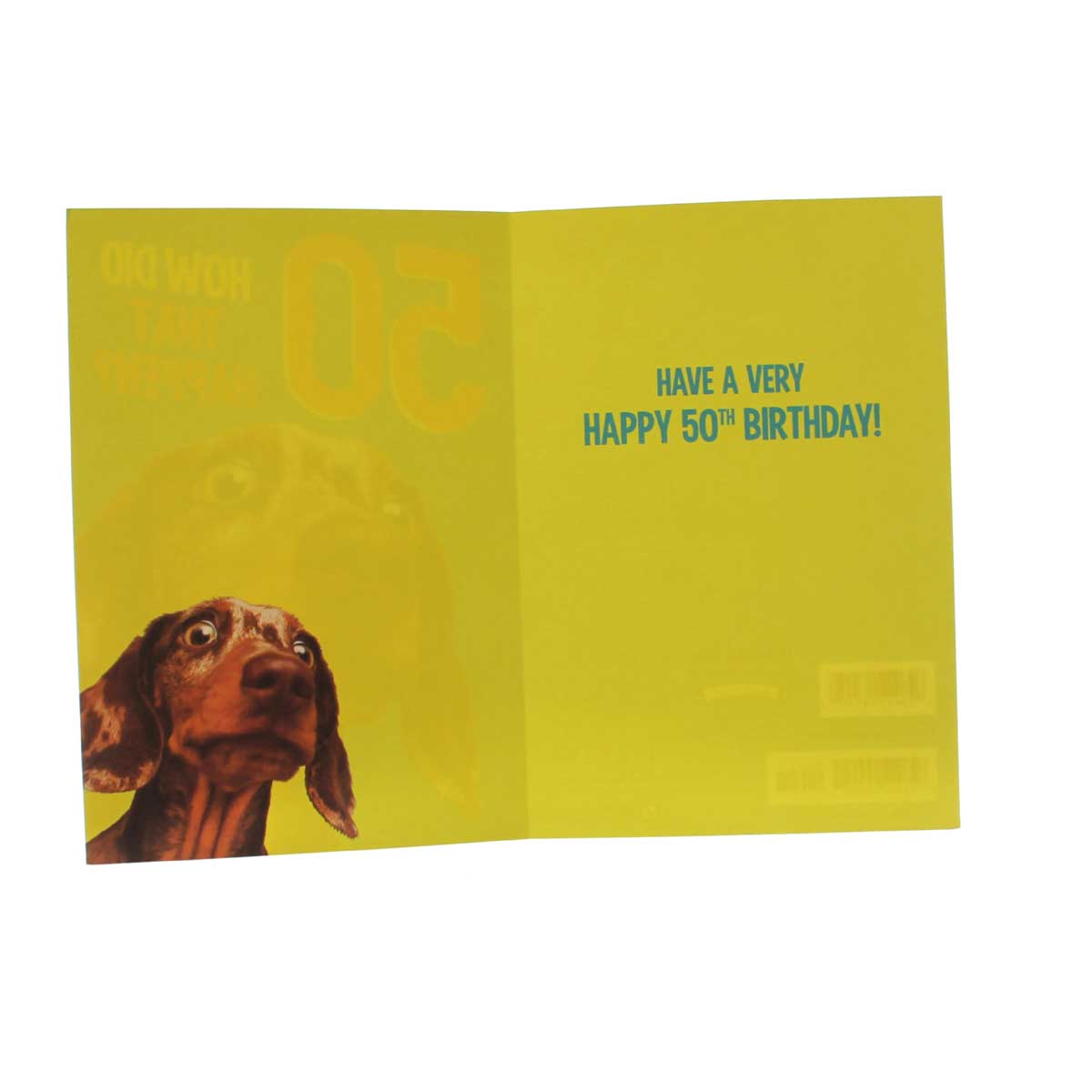 50th Birthday Card: "50, How did that happen?"
