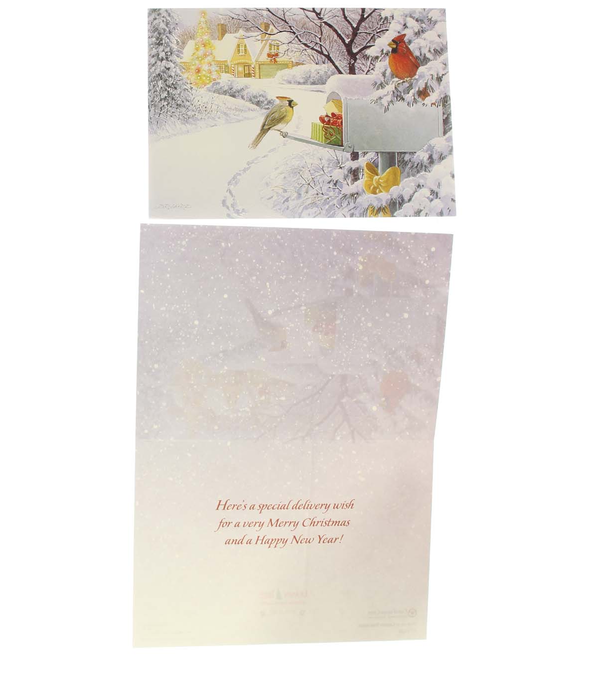 Christmas Cards, Boxed Assortment, 20 Cards/22 Envelopes, by Dona Gelsinger