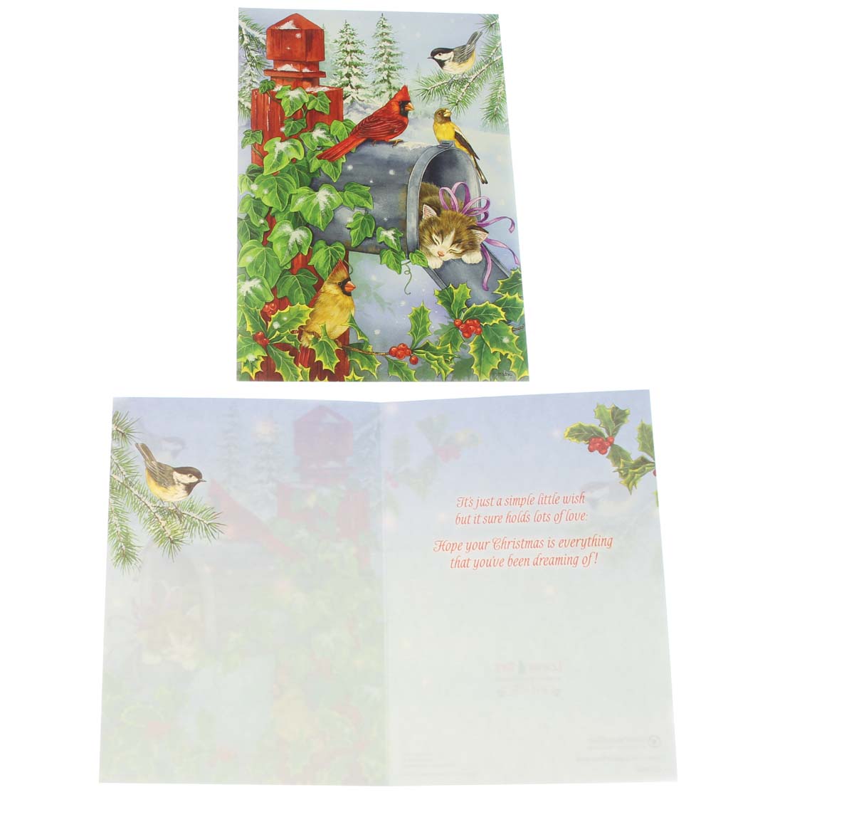 Christmas Cards, Boxed Assortment, 20 Cards/22 Envelopes, by Dona Gelsinger