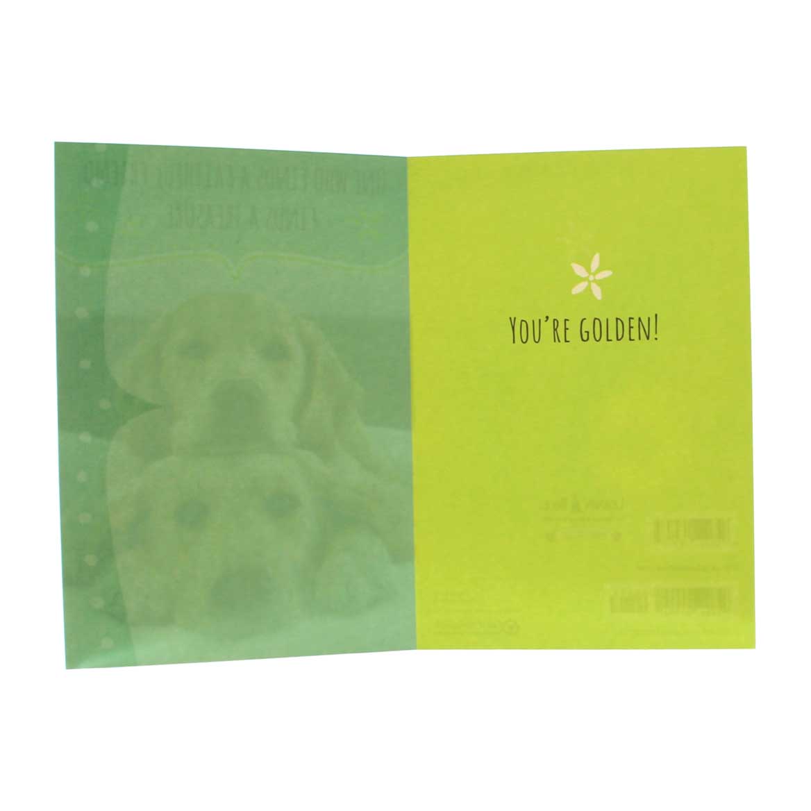 Friendship Card - "One who finds a faithful friend..."